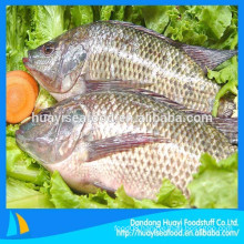 all kinds of frozen high quality tilapia fish promotion in the market